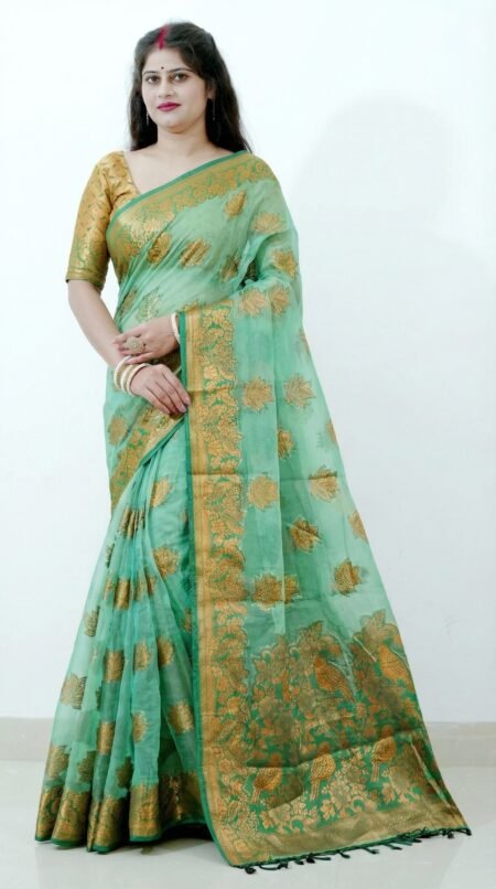 Paython (Blue colour)